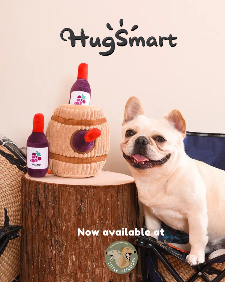 HugSmart