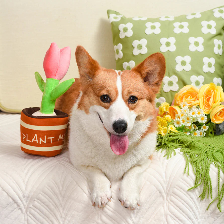 Tulip 鬱金香玩具