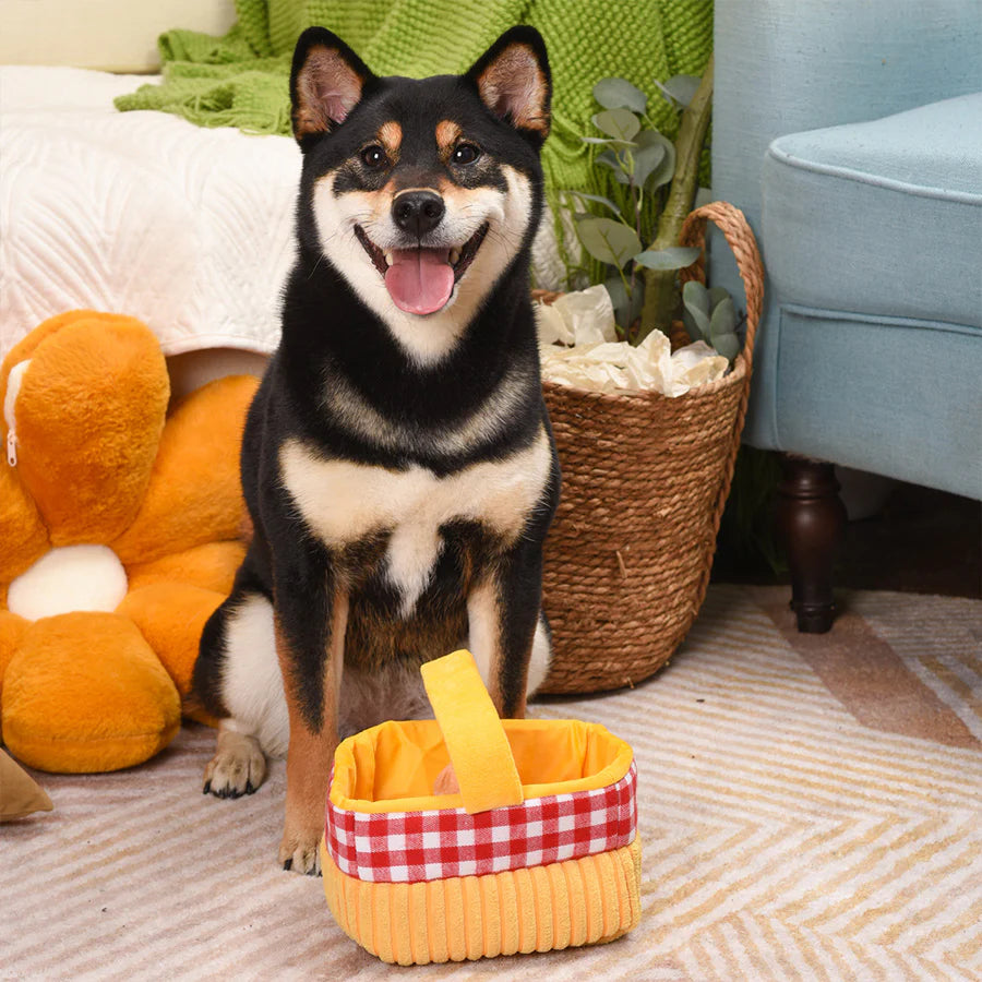 Picnic Basket Interactive Toy 野餐籃藏食玩具