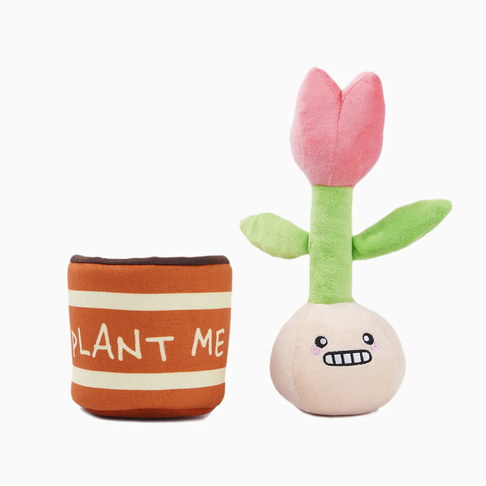 Tulip 鬱金香玩具
