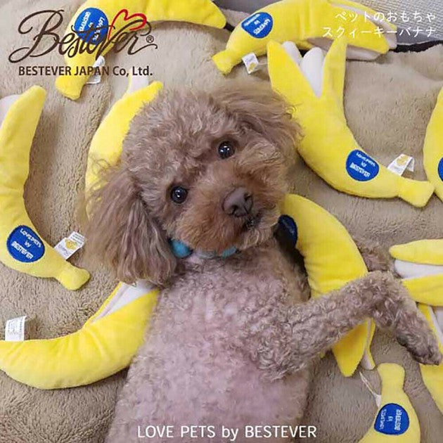 Japan Bestever Banana plush toy 香蕉發聲玩具