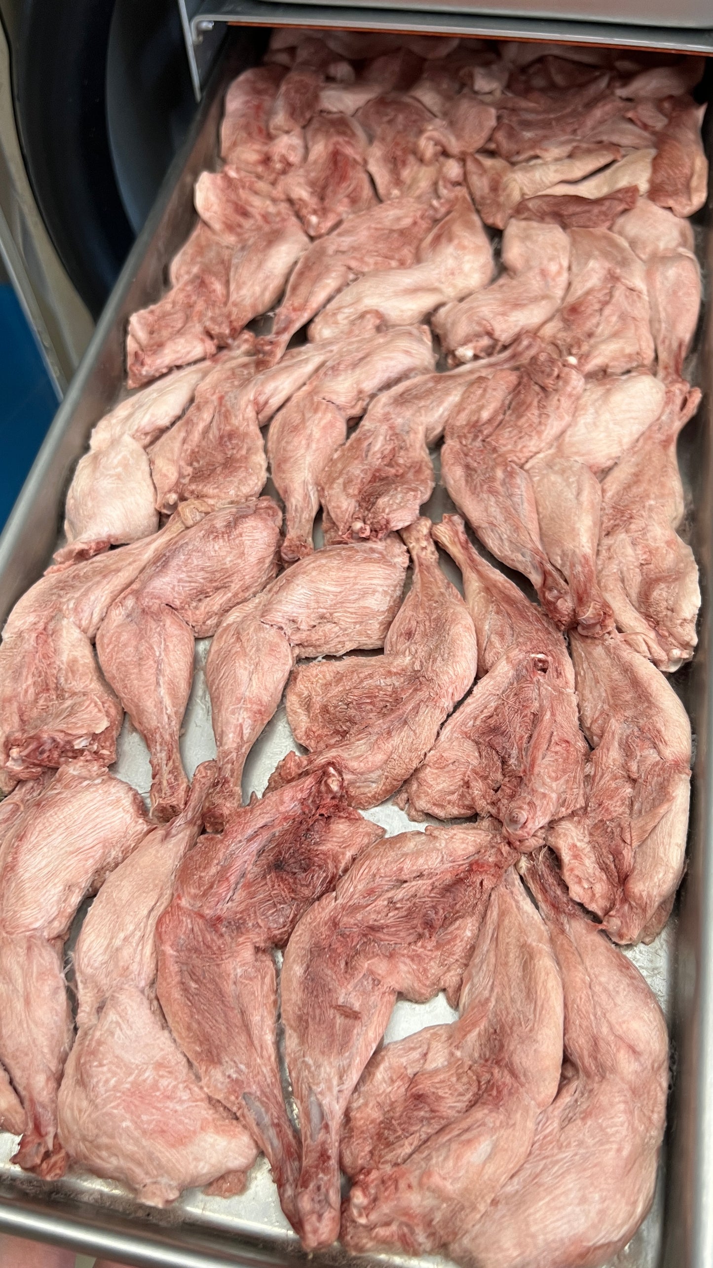 Freeze-dried French Quail Legs (skin off)凍乾法國鵪鶉髀(去皮)
