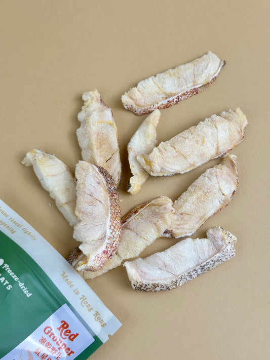 Freeze-dried Wild Red Grouper Slices 凍乾野生紅星斑片