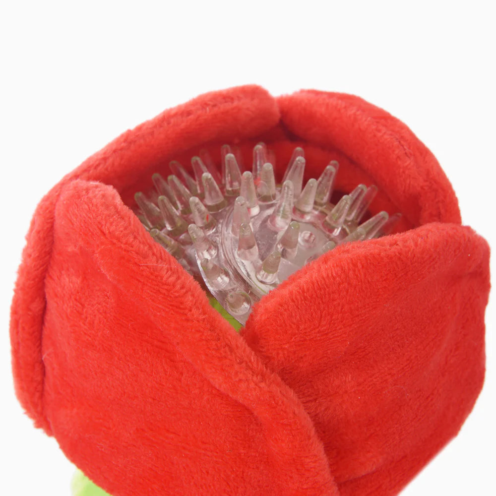 Rose - Super Ball 玫瑰花 (內藏發聲波波)