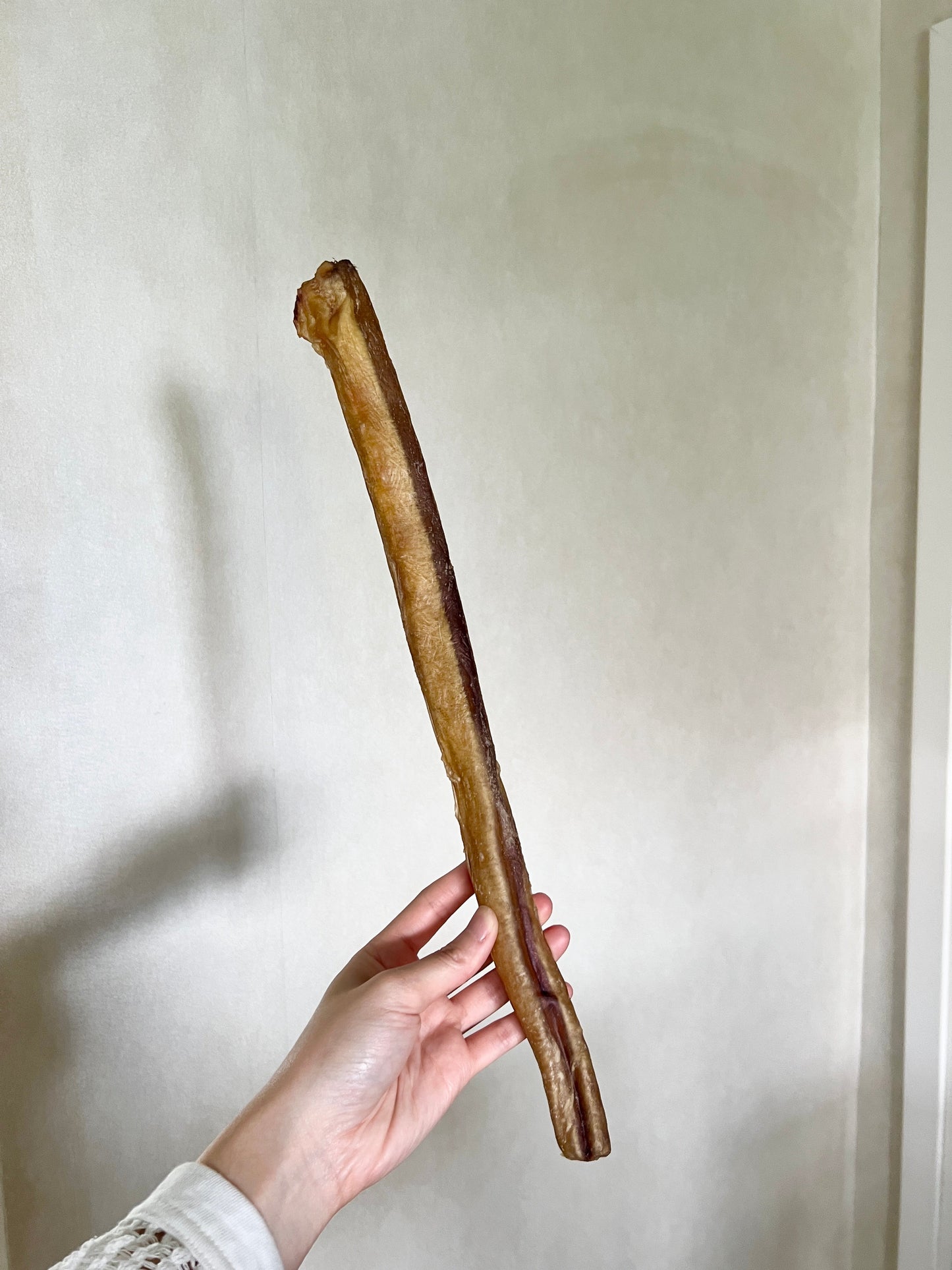 Extra-long Bully Stick 超長牛鞭 (~45cm)