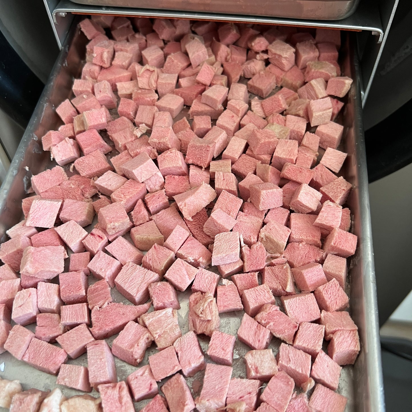 Freeze-dried Tuna Bites 凍乾刺身吞拿魚粒