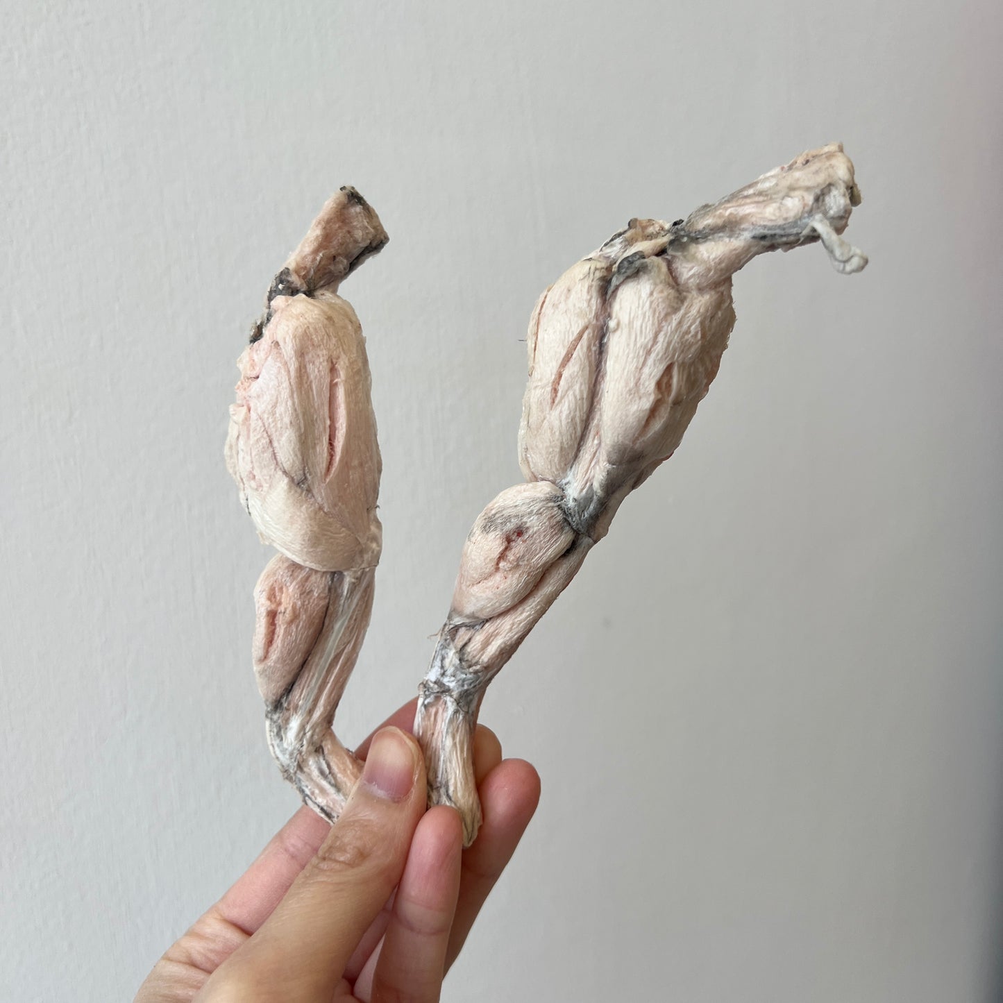Freeze-dried Frog Legs 凍乾越南田雞腿