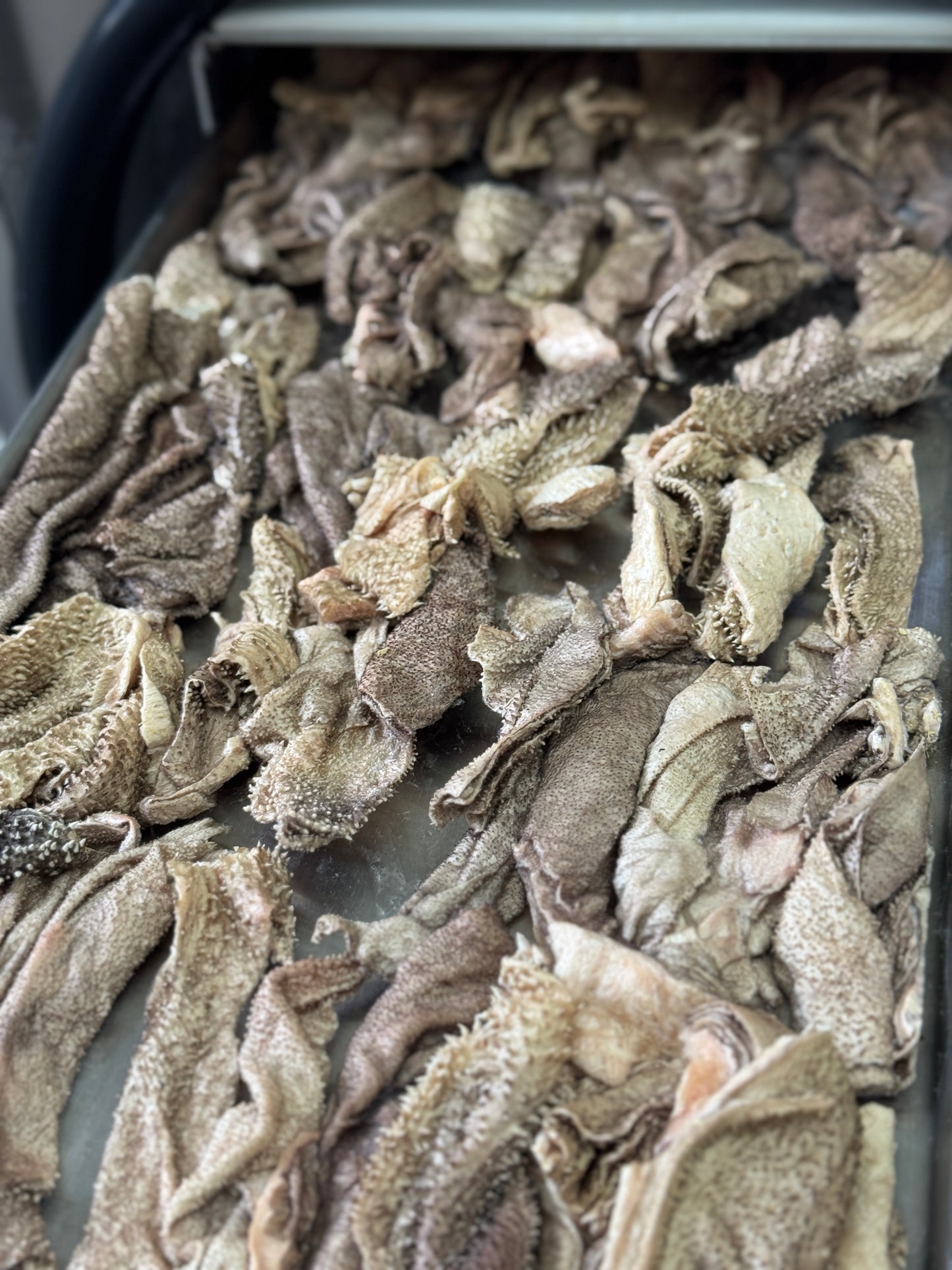 Freeze-dried South African Green Tripe 凍乾南非綠牛肚