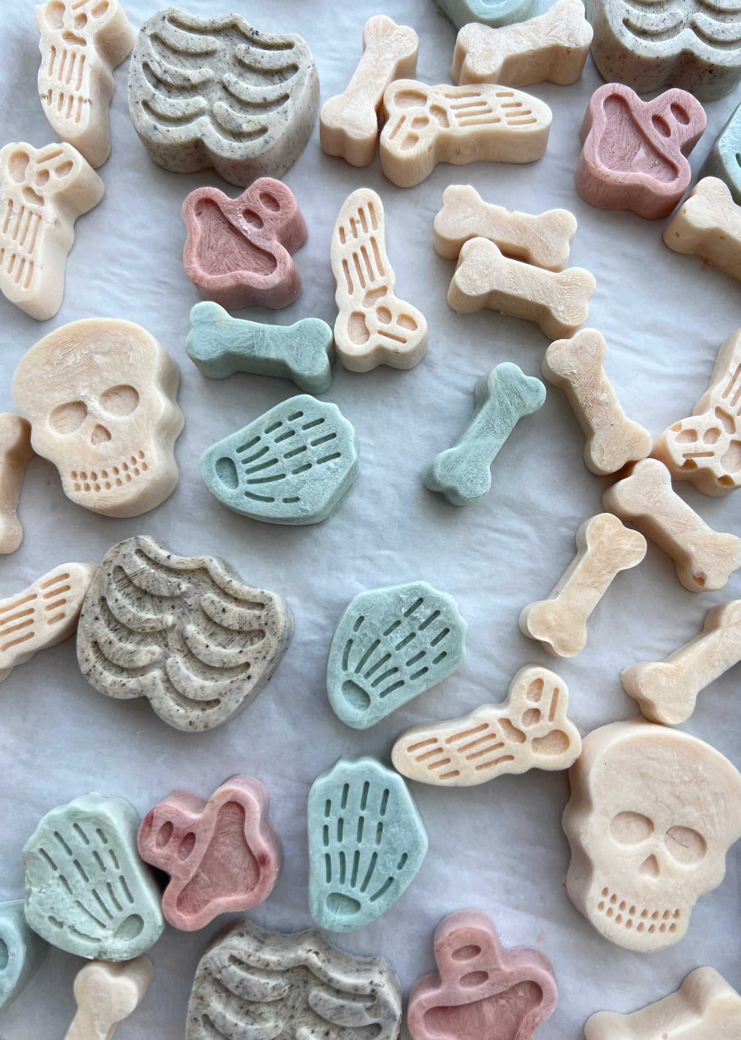 🎃 Halloween Spooky Freeze-dried Treats 💀 萬聖節造型凍乾小食