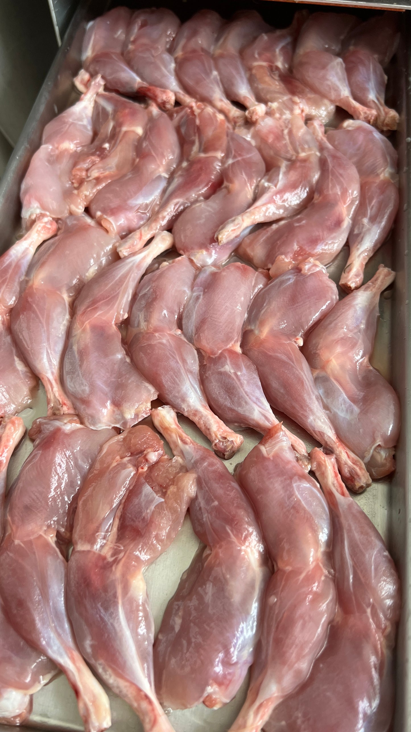 Freeze-dried French Quail Legs (skin off)凍乾法國鵪鶉髀(去皮)