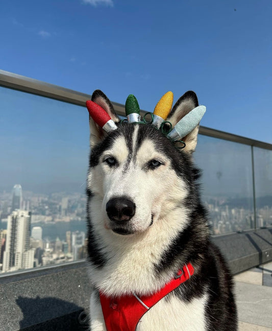 Ornament headband 聖誕燈飾頭飾