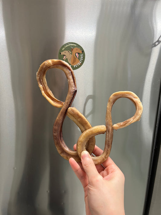 ♾️ Bully Infinity ♾️ 無限牛鞭