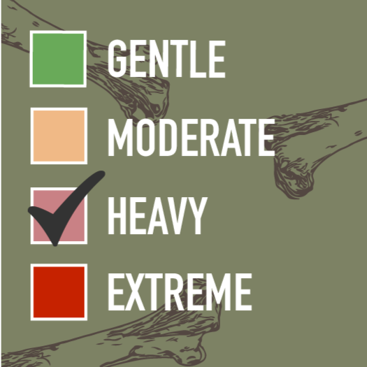 Bully Heart 心型牛鞭