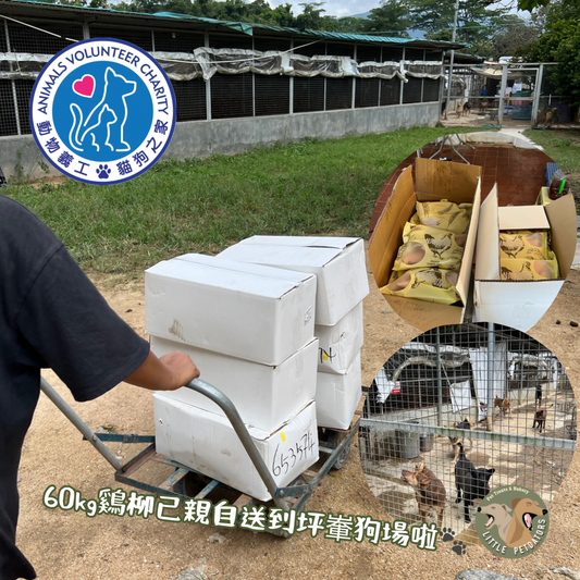 60kg雞柳已捐贈予粉嶺坪輋狗場 Donated 60kg Chicken Fillets to the Local Animal Shelter After the Rainstorm