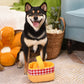 Picnic Basket Interactive Toy 野餐籃藏食玩具