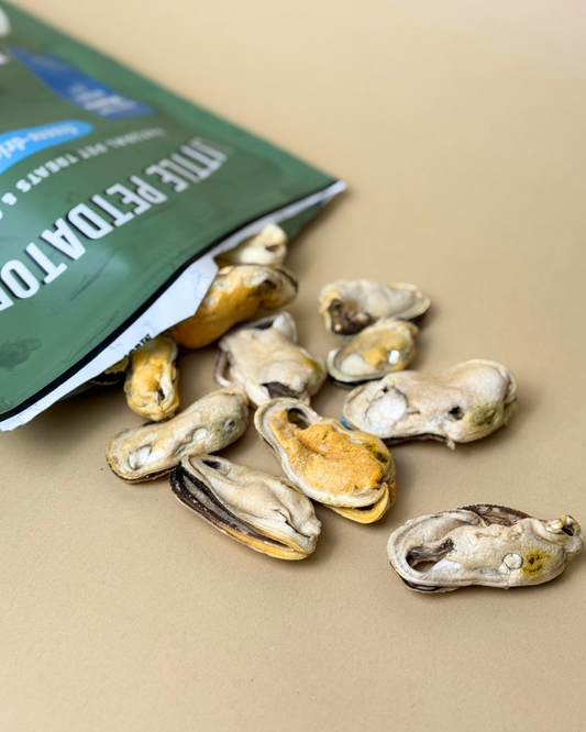 Freeze-dried NZ Mussels 凍乾紐西蘭青口