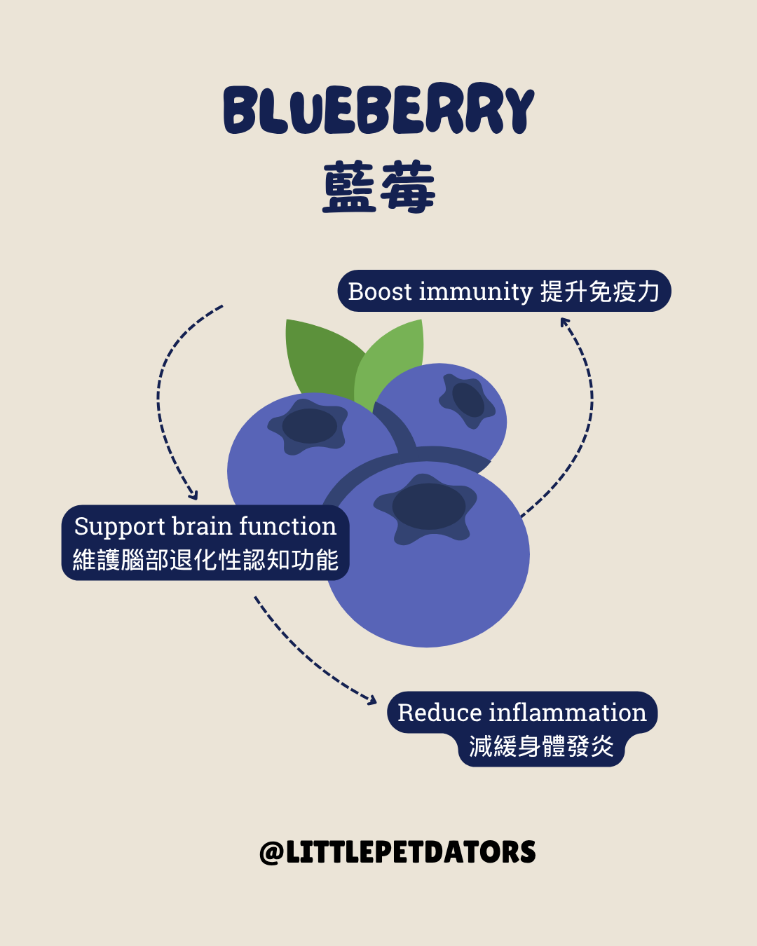 〘認知老退化配方𝗖𝗼𝗴𝗻𝗶𝘁𝗶𝘃𝗲 𝗦𝘂𝗽𝗽𝗼𝗿𝘁 𝗥𝗲𝗰𝗶𝗽𝗲〙凍乾脆餅 Freeze-dried Crackers