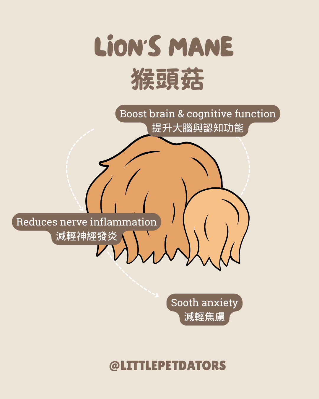 〘認知老退化配方𝗖𝗼𝗴𝗻𝗶𝘁𝗶𝘃𝗲 𝗦𝘂𝗽𝗽𝗼𝗿𝘁 𝗥𝗲𝗰𝗶𝗽𝗲〙凍乾脆餅 Freeze-dried Crackers