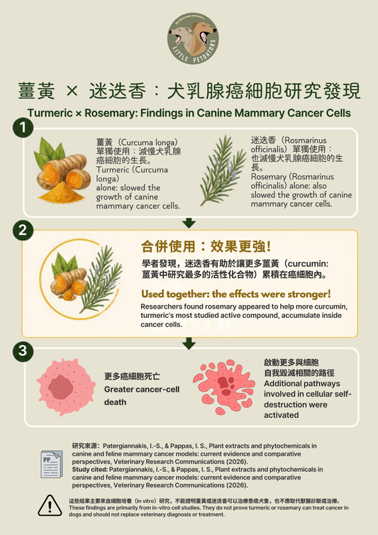 〘抗癌配方𝗔𝗻𝘁𝗶-𝗰𝗮𝗻𝗰𝗲𝗿 𝗥𝗲𝗰𝗶𝗽𝗲〙凍乾脆餅 Freeze-dried Crackers