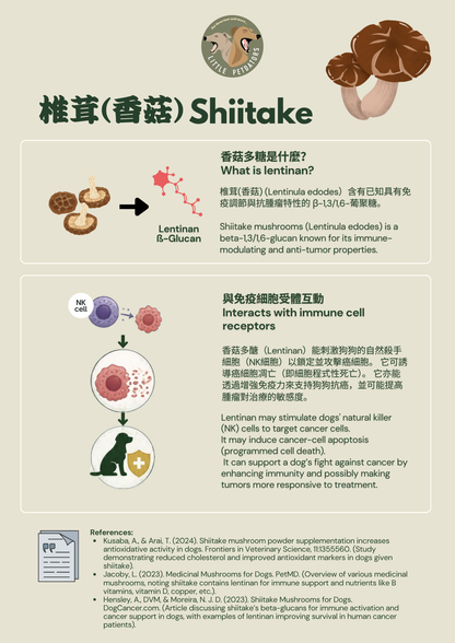 〘抗癌配方𝗔𝗻𝘁𝗶-𝗰𝗮𝗻𝗰𝗲𝗿 𝗥𝗲𝗰𝗶𝗽𝗲〙凍乾脆餅 Freeze-dried Crackers