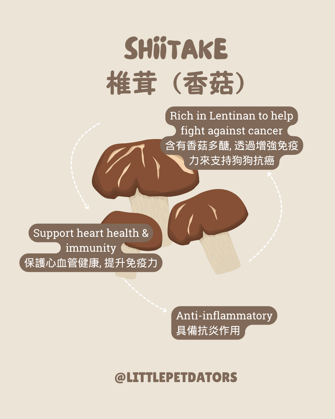 〘抗癌配方𝗔𝗻𝘁𝗶-𝗰𝗮𝗻𝗰𝗲𝗿 𝗥𝗲𝗰𝗶𝗽𝗲〙凍乾脆餅 Freeze-dried Crackers