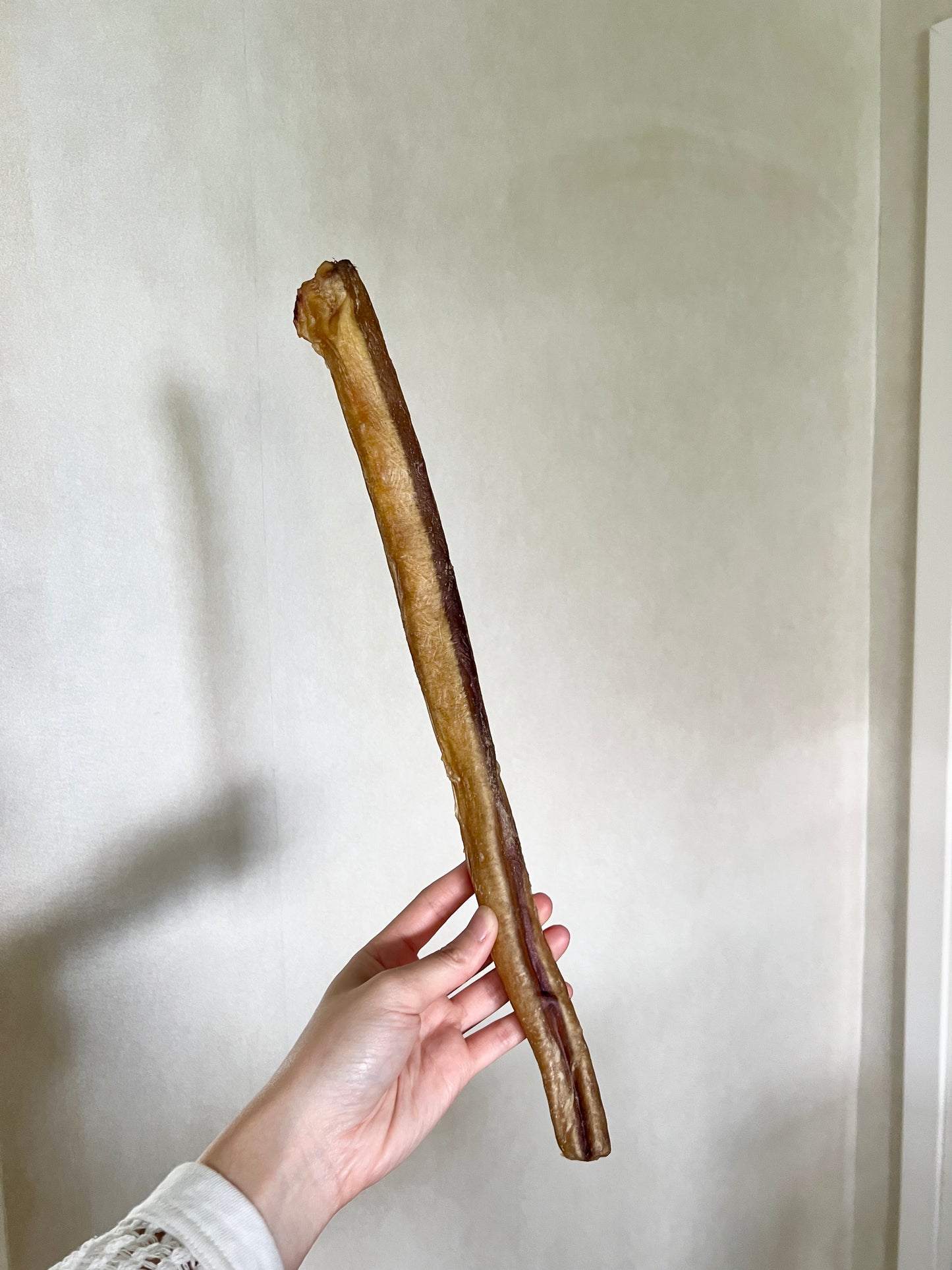 Bully Sticks 粗牛鞭 (牛J)