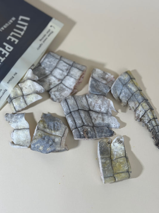 凍乾泰國鱷魚尾膠 Freeze-dried Thai Crocodile Tail