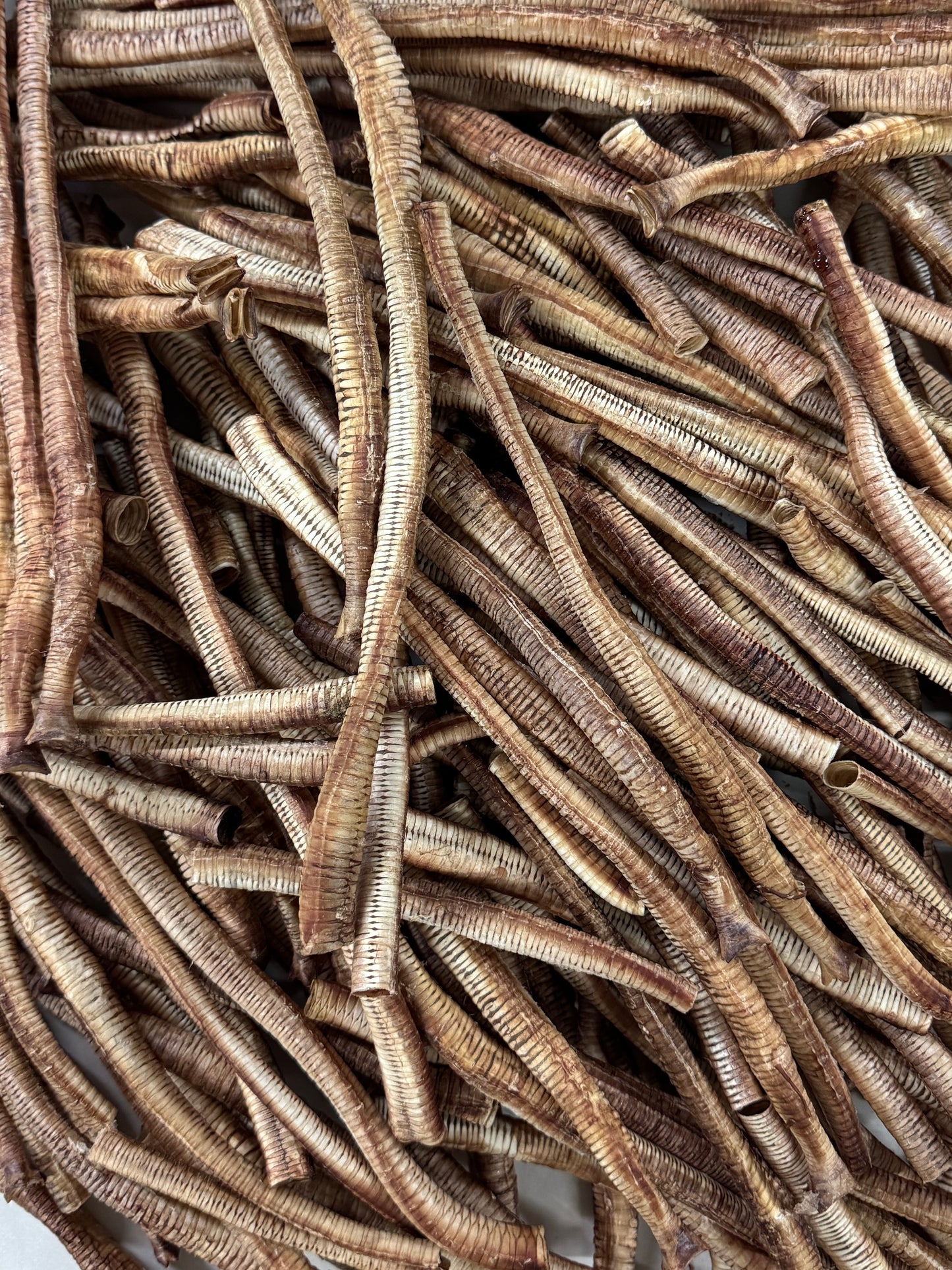 台灣鵝氣管 Crispy Goose Trachea (50g)