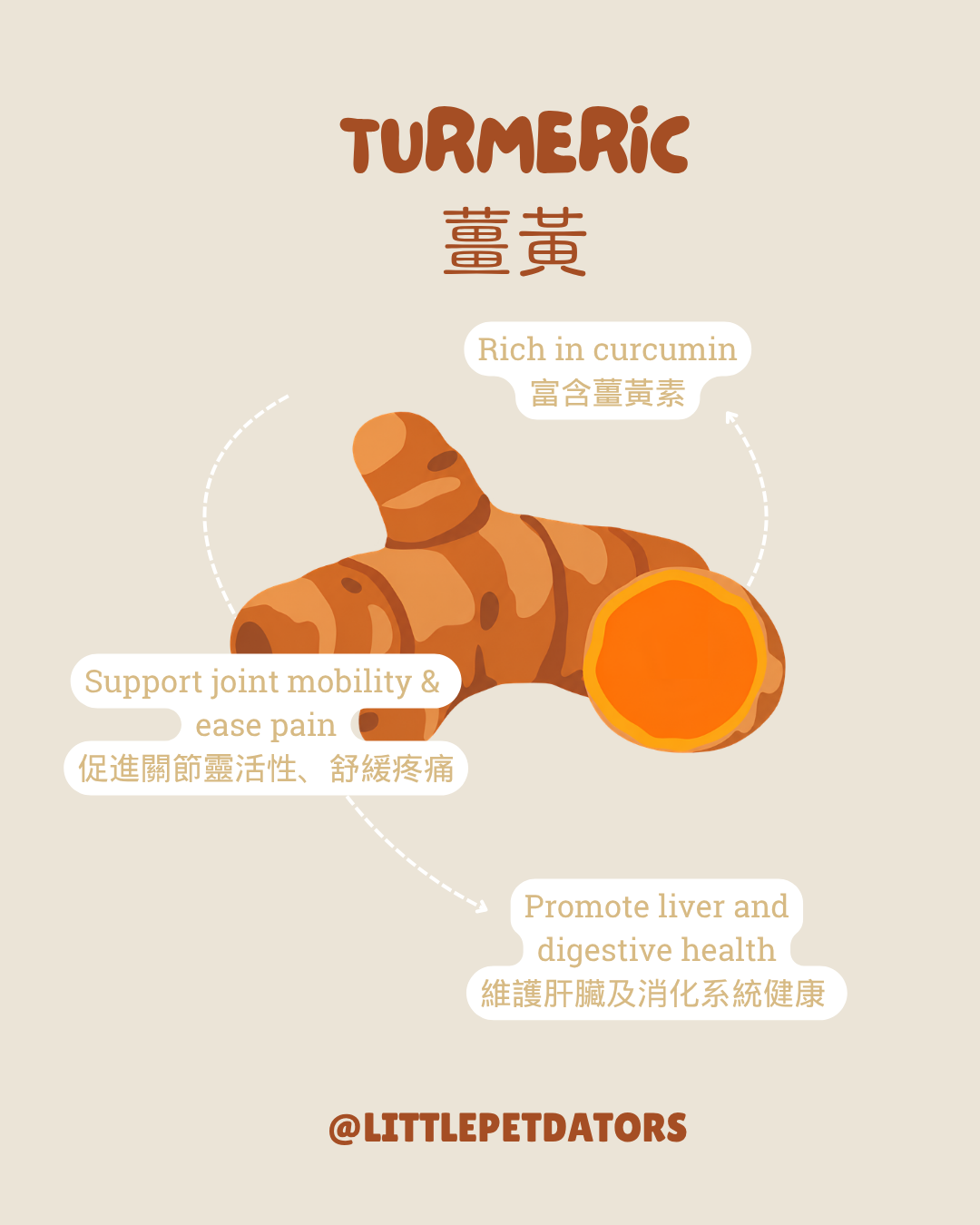 〘抗癌配方𝗔𝗻𝘁𝗶-𝗰𝗮𝗻𝗰𝗲𝗿 𝗥𝗲𝗰𝗶𝗽𝗲〙凍乾脆餅 Freeze-dried Crackers