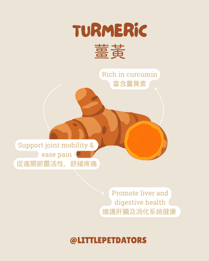 〘抗癌配方𝗔𝗻𝘁𝗶-𝗰𝗮𝗻𝗰𝗲𝗿 𝗥𝗲𝗰𝗶𝗽𝗲〙凍乾脆餅 Freeze-dried Crackers