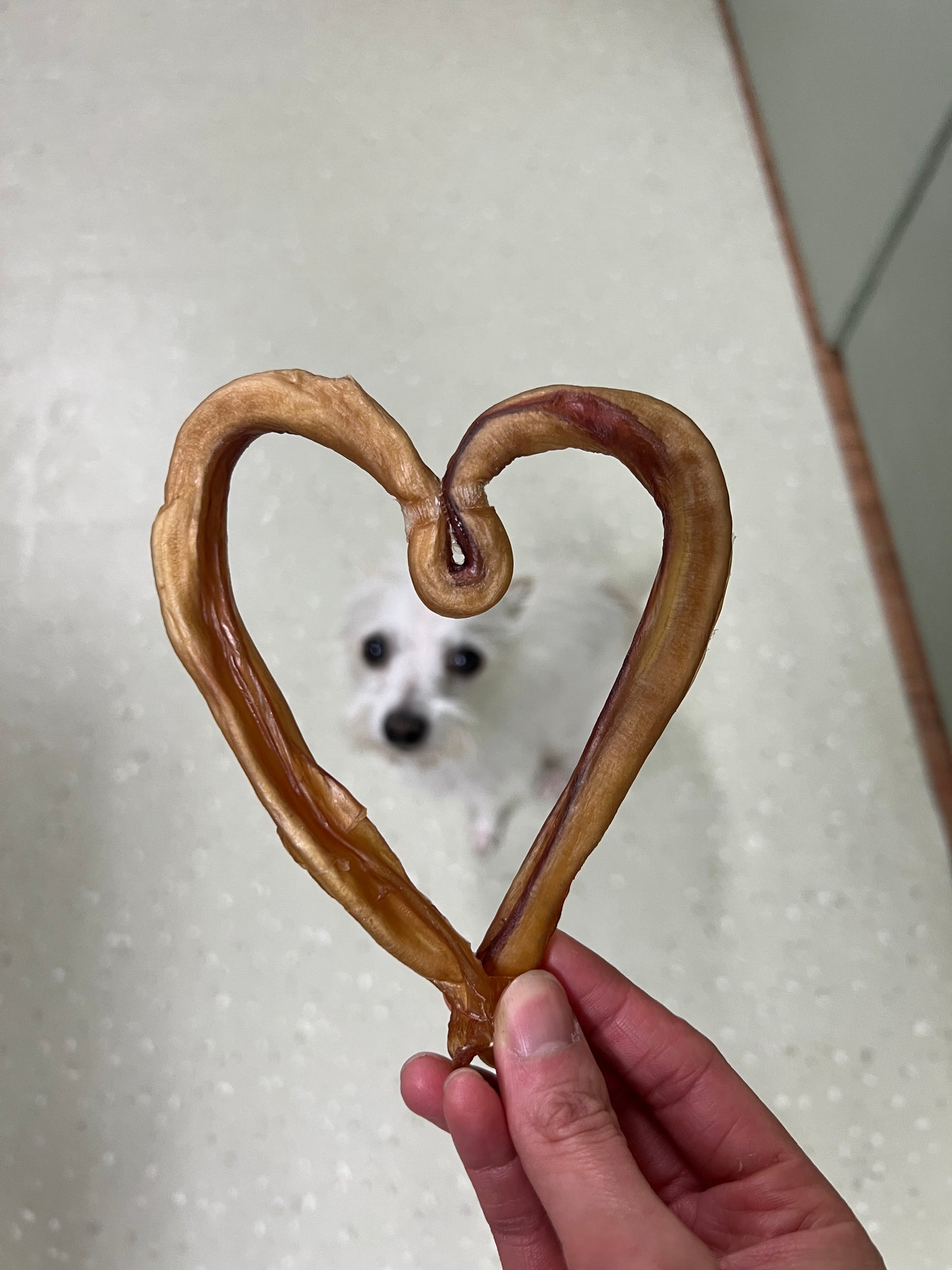 [❤️2月情人節限定 Feb/ Valentine Special] Bully Heart 心型牛鞭