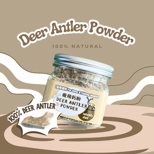[強骨補腎 For Bones & Kidney Health] 鹿角鈣粉 Deer Antler Powder