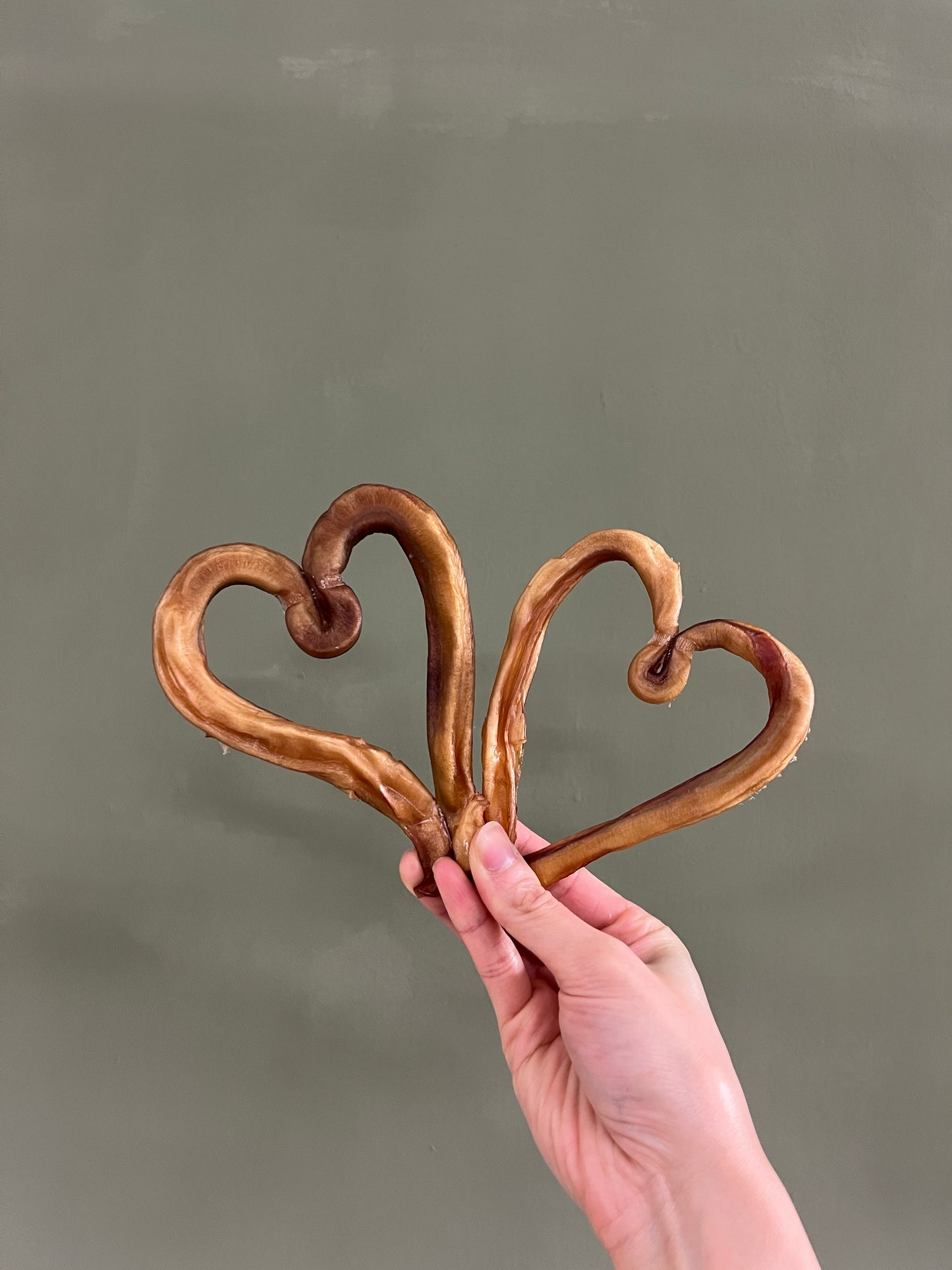 [❤️2月情人節限定 Feb/ Valentine Special] Bully Heart 心型牛鞭