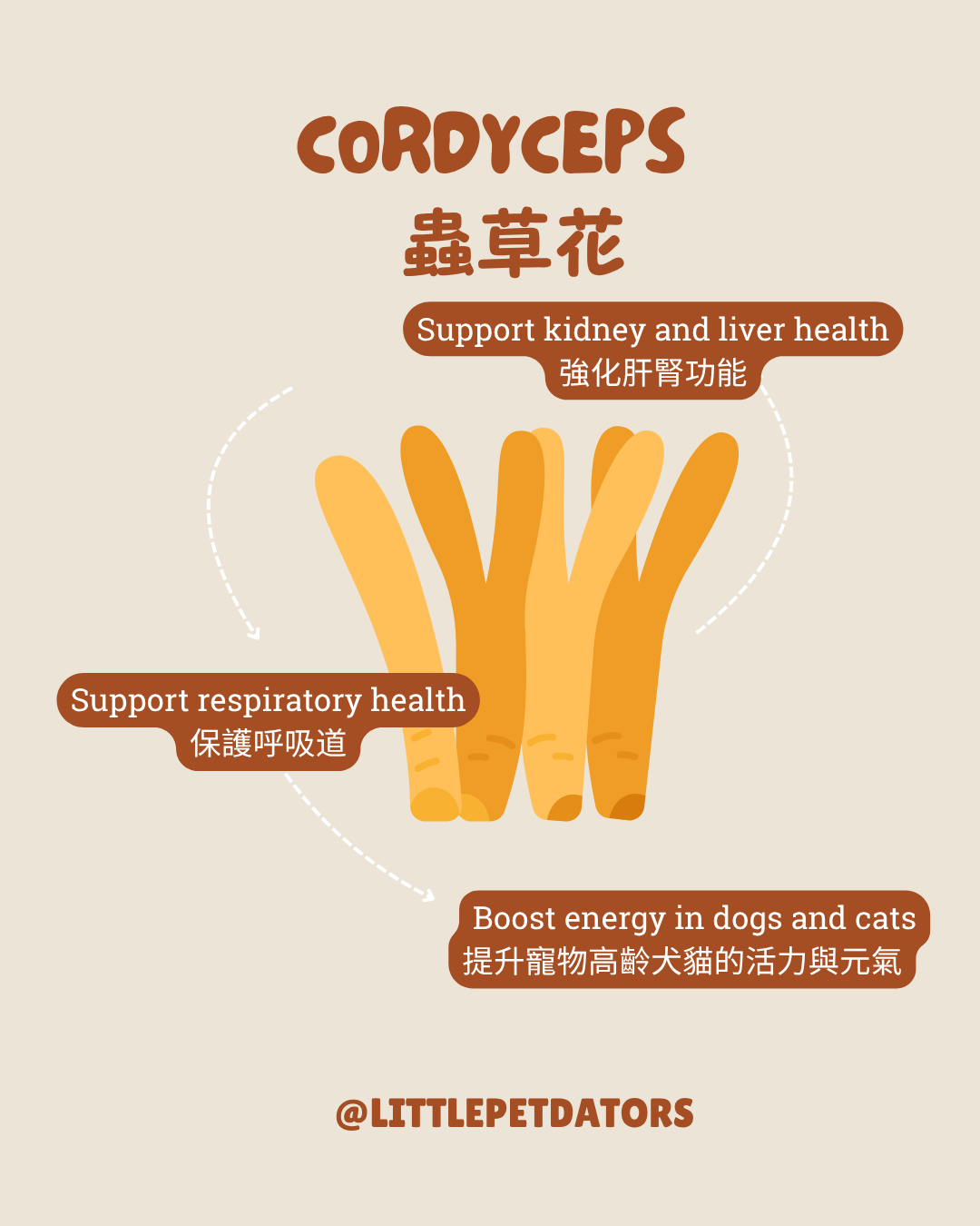 〘關節配方𝗝𝗼𝗶𝗻𝘁 𝗦𝘂𝗽𝗽𝗼𝗿𝘁 𝗥𝗲𝗰𝗶𝗽𝗲〙凍乾脆餅 Freeze-dried Crackers