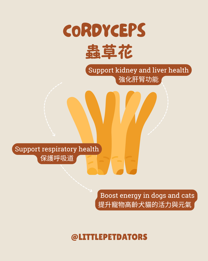 〘關節配方𝗝𝗼𝗶𝗻𝘁 𝗦𝘂𝗽𝗽𝗼𝗿𝘁 𝗥𝗲𝗰𝗶𝗽𝗲〙凍乾脆餅 Freeze-dried Crackers