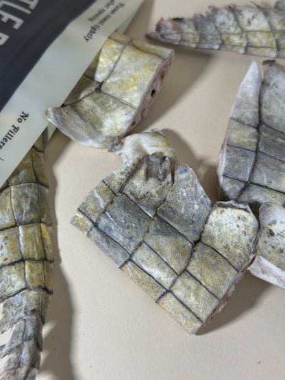凍乾泰國鱷魚尾膠 Freeze-dried Thai Crocodile Tail