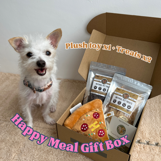 Happy Meal Gift Set 開心樂園禮盒 ($198 up | Treats & Toy)