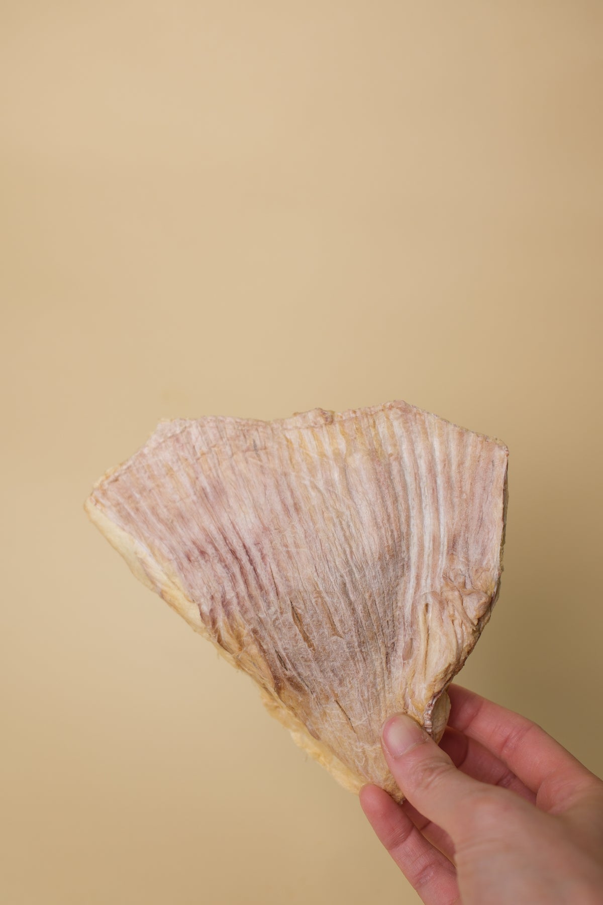 凍乾紐西蘭魔鬼魚鰭 Freeze-dried New Zealand Skate Wings