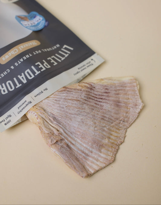 凍乾紐西蘭魔鬼魚鰭 Freeze-dried New Zealand Skate Wings