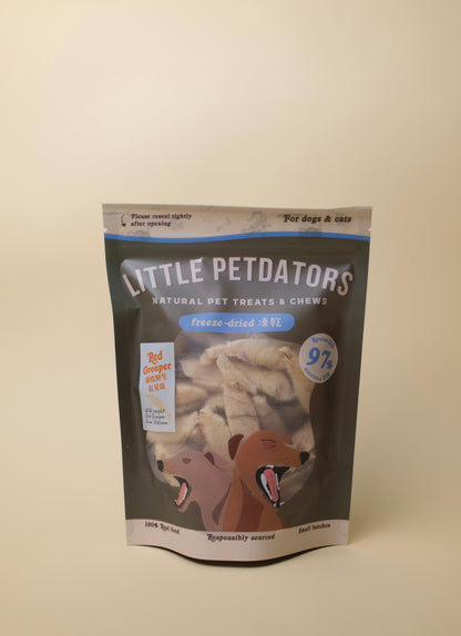 Freeze-dried Wild Red Grouper Slices 凍乾野生紅星斑片