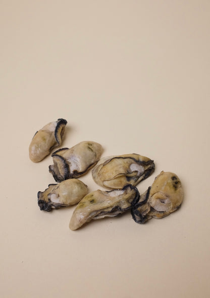 Freeze-dried Cooked Japanese Oyster 凍乾日本兵庫熟生蠔