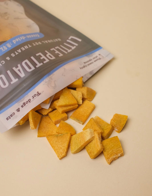 Freeze-dried Pumpkin 凍乾南瓜