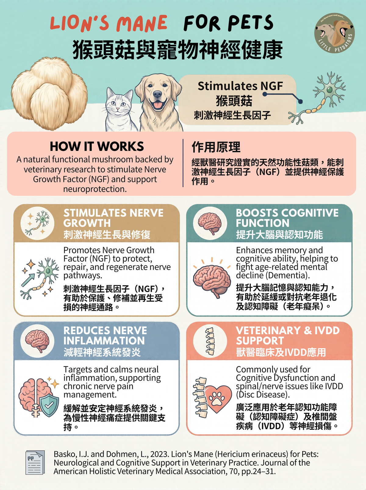 〘認知老退化配方𝗖𝗼𝗴𝗻𝗶𝘁𝗶𝘃𝗲 𝗦𝘂𝗽𝗽𝗼𝗿𝘁 𝗥𝗲𝗰𝗶𝗽𝗲〙凍乾脆餅 Freeze-dried Crackers