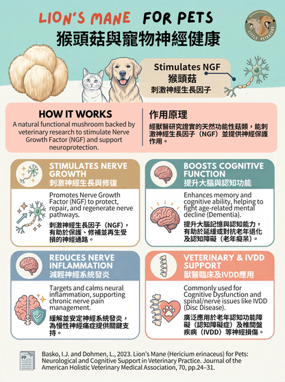 〘認知老退化配方𝗖𝗼𝗴𝗻𝗶𝘁𝗶𝘃𝗲 𝗦𝘂𝗽𝗽𝗼𝗿𝘁 𝗥𝗲𝗰𝗶𝗽𝗲〙凍乾脆餅 Freeze-dried Crackers