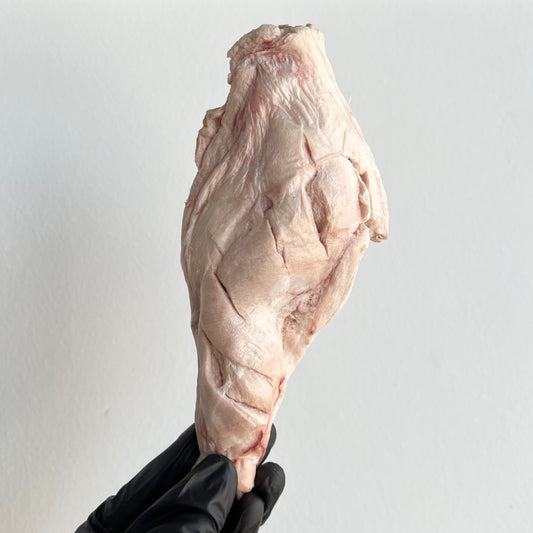 Freeze-dried Jumbo Rabbit Leg 凍乾法國珍寶兔髀