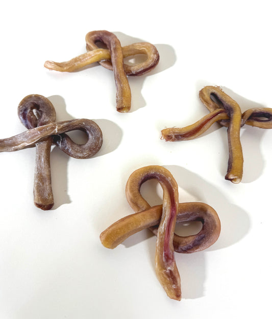 Bully Ribbon 蝴蝶結牛鞭