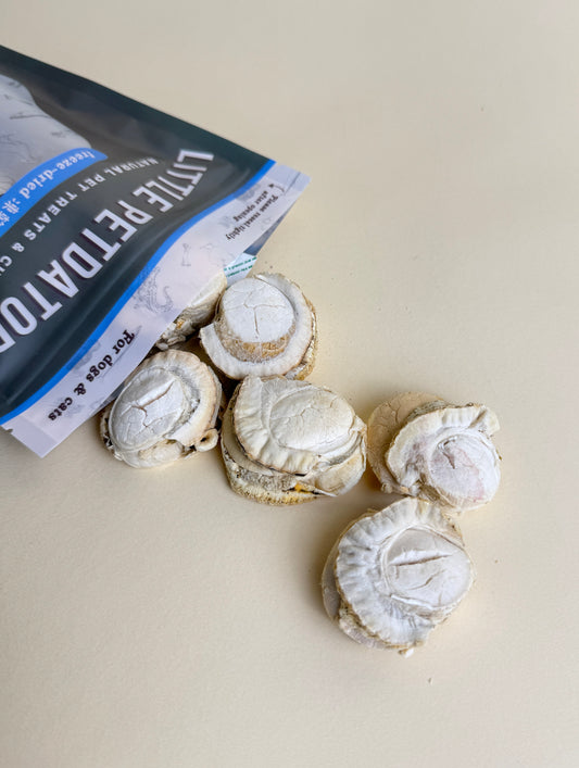 [期間限定] Freeze-dried Hotate Scallops 凍乾北海道帆立貝 (M size)