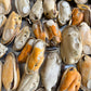 Freeze-dried NZ Mussels 凍乾紐西蘭青口