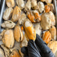 Freeze-dried NZ Mussels 凍乾紐西蘭青口