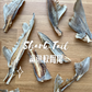 Shark Tails 鯊魚軟骨尾